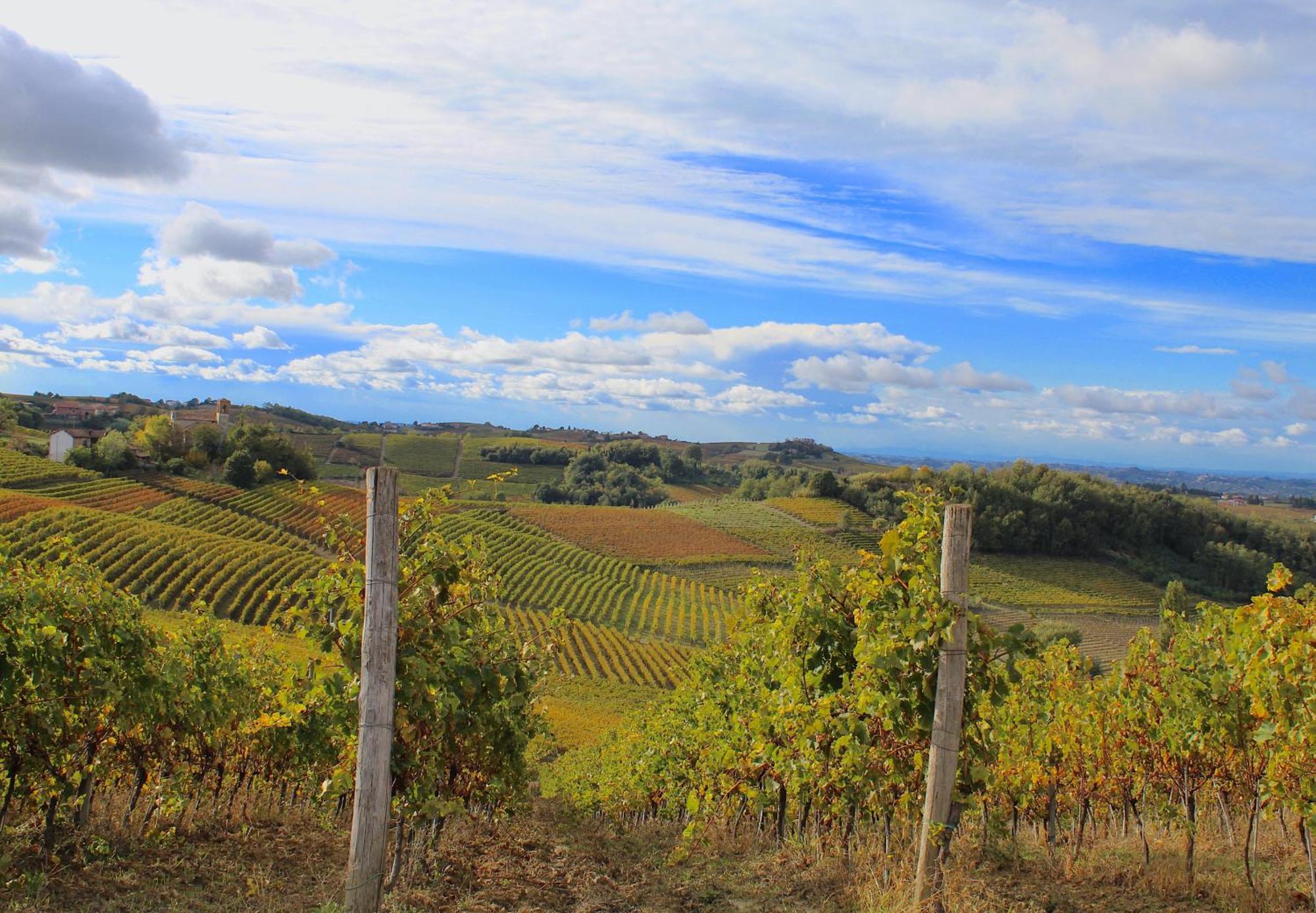 Villa Amazing Langhe And Monferrato | House With Garden Calamandrana Esterno foto